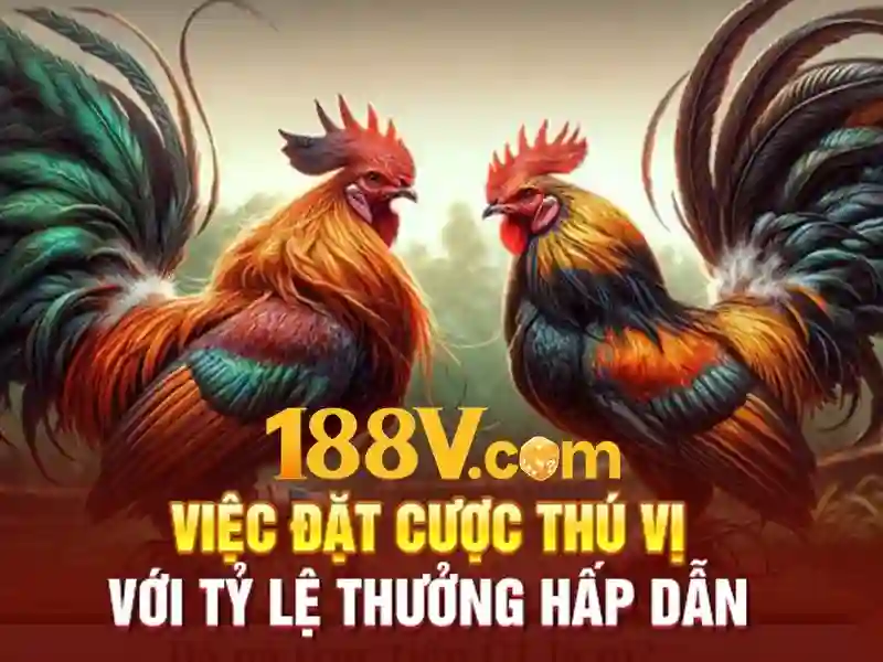 Ưu đãi 188v: Trải nghiệm ưu đãi đỉnh cao với giá tốt