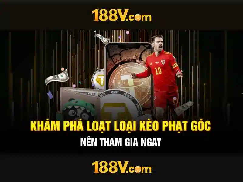 Sản phẩm và Dịch vụ chính: 188v c trong ứng dụng thực tế