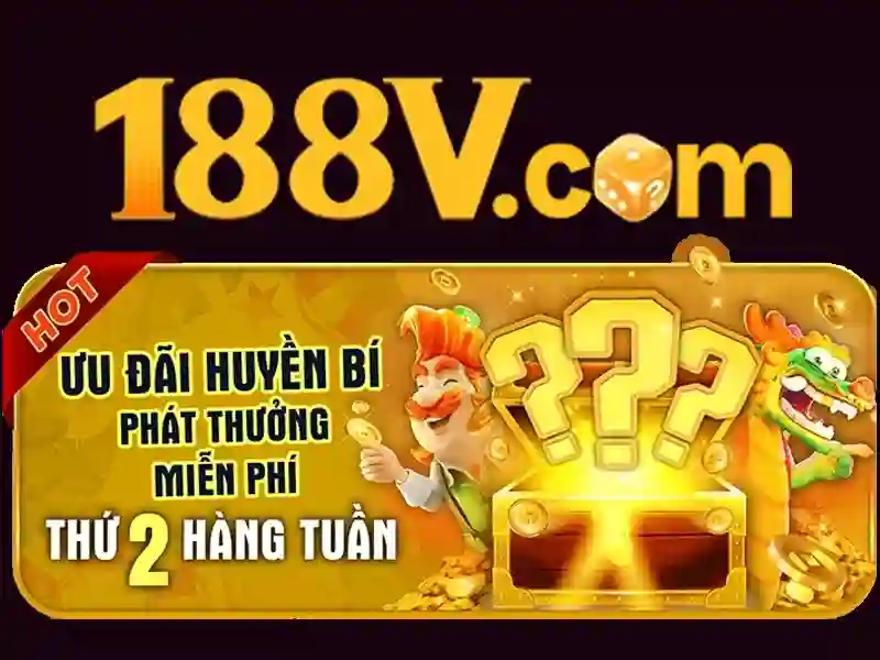 Trải nghiệm người dùng và phản hồi từ cộng đồng