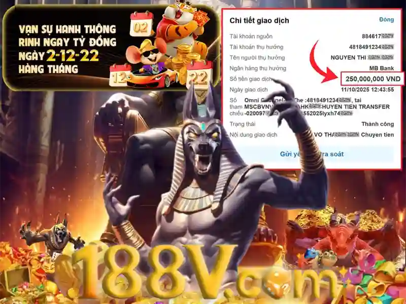 Trải nghiệm người dùng và phản hồi từ cộng đồng